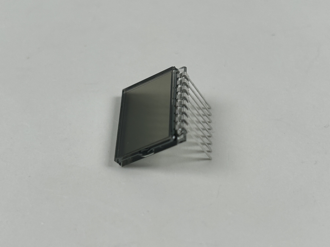 3.0 V Display LCD TN Prositivo Segmento de Código Ecrã Collar de Treinamento de Cães Personalizavel