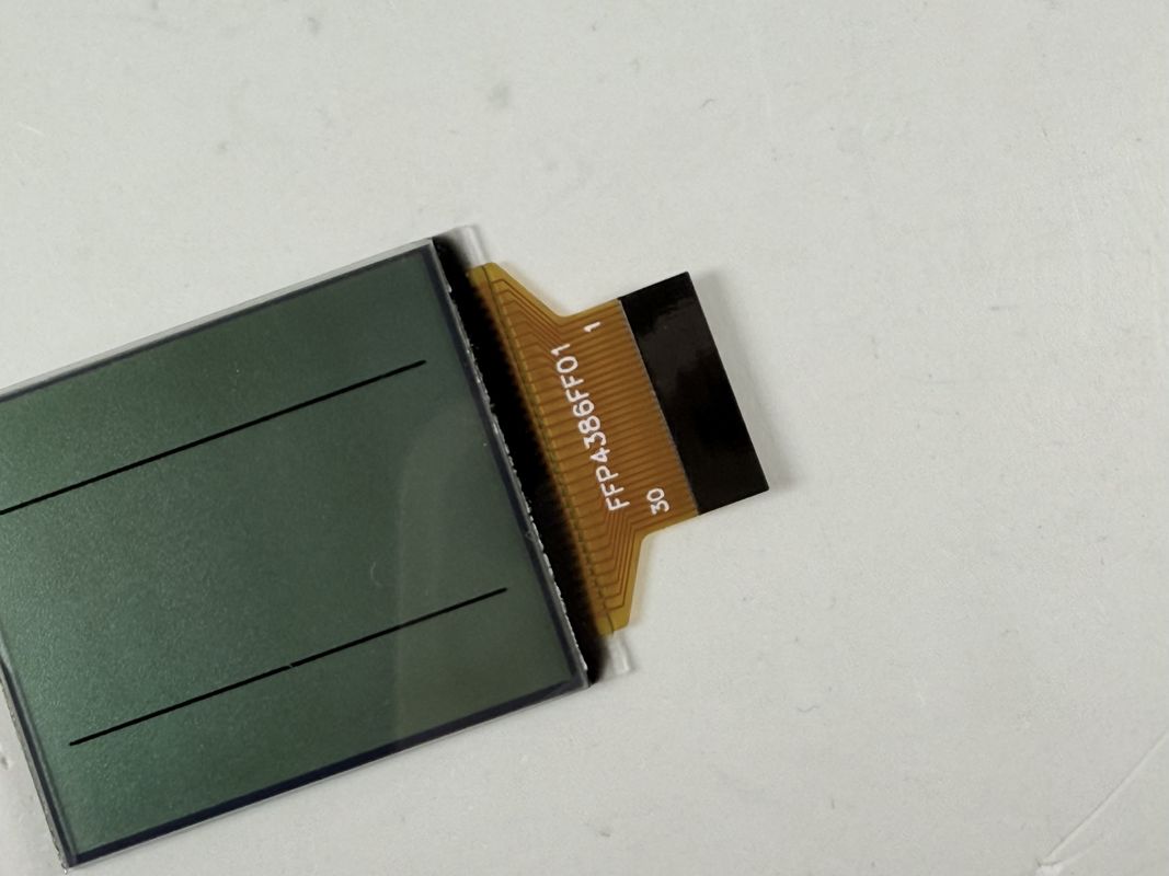 Display LCD preto e branco FSTN personalizado | Segmento monocromático LCD para aplicações industriais e eletrônicas